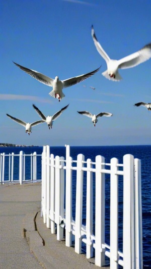 海边白色护栏下的海鸥群飞
