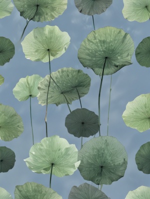 lotus leaf on the blue sky background, in the style of layered translucency, photorealistic detailing, captures the essence of nature, light green and dark gray, intricate floral arrangements, delicate minimalism