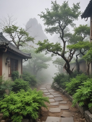 一个小而狭窄的花园，在雾气弥漫的街道上，绿色的树木，在chinapunk的风格，照片逼真的风景，工笔，质朴的自然主义，照片逼真的技术，多山的景色，扭曲的树枝