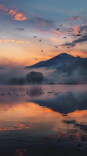 极其唯美的夕阳，湖面，雾气，飞鸟，极远处的山的轮廓