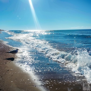 一片美丽的海滩，海浪拍打着沙滩，海鸥踩在沙滩上。波光粼粼