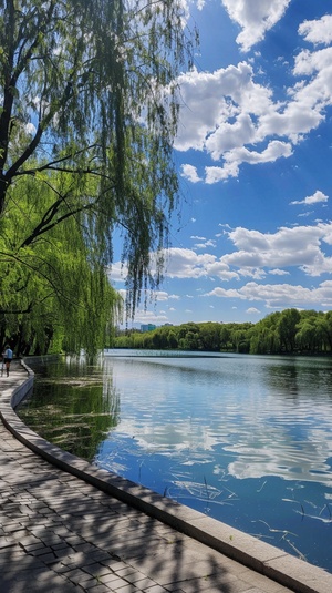 蓝天白云下，湖边，行人行走，柳树随风而飘，冶愈系美景