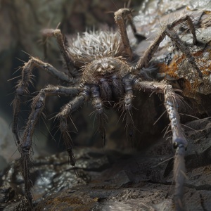 　它体型颇大，有脸盆大小，形似蜘蛛，但八只触脚全如铁针，脚端尖锐至极。蜘蛛身上，长满坚硬的倒刺绒毛