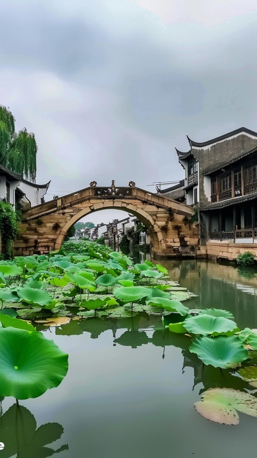 The scenery of Jiangnan water town in Zhenkou Scenic Area, between ancient buildings and stone bridges has green lotus leaves swaying gently. The architecture built on the arch bridge seems to be like ink paintings. It's beautiful! On short video platforms like "Qin Ge" or TikTok app, there should also add some original street style graphics to make it more interesting. Real photos taken by mobile phones in HD quality.