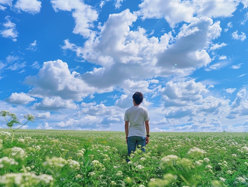 夏天的风景如画，我（一中国男子）站在绿油菜花田园，蓝天白云，晴空万里💎🍏💖🌻🚲远景，层次感分明，超高清