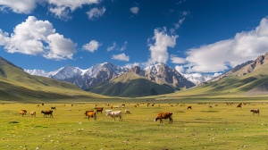 草原，雪山，牛羊满地，蓝天白云，旷野，公路，新疆阿勒泰