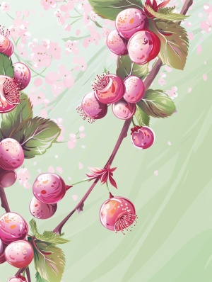 背景干净简洁，浅绿色背景配一枝粉色梅花 ，对角线构图。