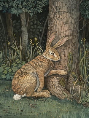 田野里窜出一只兔子撞到树上死了趴在树下
