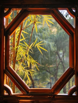 一个具有中国风格的六边形窗户,透过它可以看到窗外的竹叶。照片是从内部拍摄的,只显示了窗户的一半。这是黄金时刻,照片上不应有任何阴影。有些地方应该出现阳光。背景中我们可以看到树木和其他植物。整体效果温馨舒适。色彩调色板必须包括橙色色调