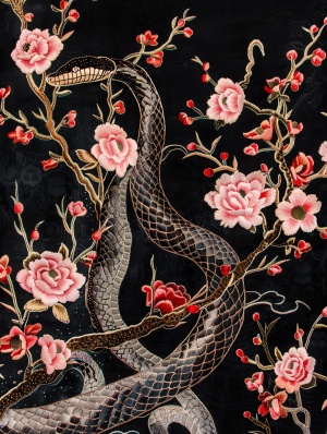 中国风，蛇，刺绣纹理