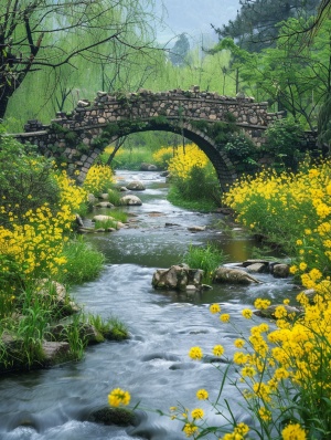 In the spring, there is an ancient stone bridge over flowing water in rural China. On both sides of the river bank and yellow rapeseed flowers blooming all around, green trees, high definition photography, real photos, Chinese countryside landscape background.