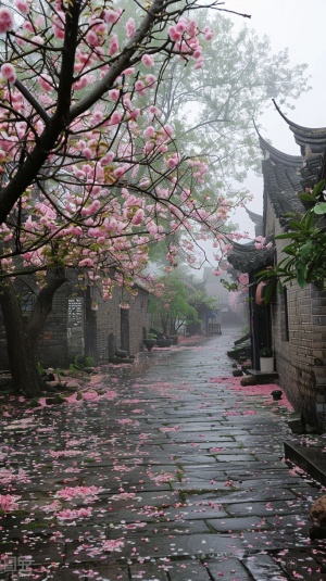 一张展示中国传统庭院景色的照片。照片中有一条石板路穿过，两侧是高大的树木和建筑物。在左侧的树上挂满了粉色花朵，可能是樱花或者桃花；右侧则是一排灰色砖墙与黑色瓦片屋顶相接的房子。天空中下着小雨，使得整个场景都笼罩在一层薄雾之中。地面上散落着许多掉落下来的花瓣，它们被雨水打湿后变得更加鲜艳夺目。这些细节共同构成了一个充满诗意的画面，让人感受到自然之美以及人与自然和谐相处的理念。