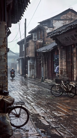 八十年代，中国南方郴州的街道情景，两边是木板门面的商铺，两层左右，砖瓦结构，石板路 ，过往的马车、单车，稀稀落落，阴沉的天气
