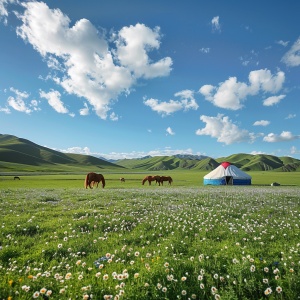 新疆伊犁那拉提草原上，湛蓝天空，白色鱼鳞状高积 云，清澈透亮，大面积翠绿的草原，草原上许许多多的小野花，超广角，真实摄影，大自然的风光，彩色的蒙古包屹立其上，旁边有一些骏马在低头吃草，周围是茂密的青青草地。整张画面超高清，32k级别细腻的展现了草地与蒙古包层层远景。画面中央的蒙古包屋顶上是鲜艳的百红花纹，蓝色的帐篷边缘垂下，形成饱满立体感。草间风吹过，一丝丝青草随着风起伏，细腻的绘制让人仿佛身临其境。在蒙古包的旁边有一个圆形湖，围绕湖开满了鲜艳的草原小花，五颜六色，高空拍摄，鸟瞰图，