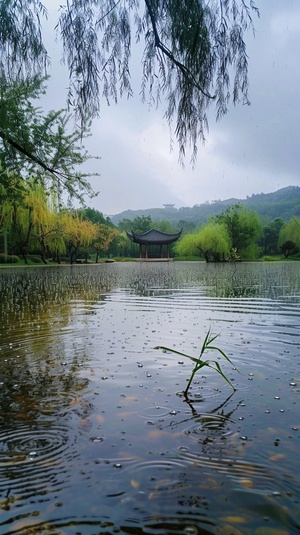 以下是根据你提供的信息生成的景色描述： 在扬柳小路的一旁，雨水积聚成了一个个小水溏。这些水溏如同一面面镜子，倒映着天空的美丽景色。 天空中，乌云密布，厚重的云层仿佛要压下来一般。然而，在云层的缝隙之间，阳光努力地穿透出来，洒下一道道金色的光芒。这些光芒照亮了水溏，使得水面闪烁着迷人的光芒，仿佛镶嵌了无数颗钻石。 微风吹过，扬柳轻轻摇曳，细长的柳枝如同绿丝般拂过水面，打破了水溏的平静。雨滴纷纷扬扬地落下，在水面上荡漾起一圈圈涟漪，与柳枝的倒影交织在一起，构成了一幅如梦如幻的画面。 水溏边的草地上，青草嫩绿，叶片上挂着晶莹的水珠。偶尔有几朵娇小的野花在雨中绽放，它们顽强地生长着，为这片景色增添了一抹生机与色彩。 整个景色充满了宁静与神秘，让人不禁沉醉其中，感受大自然的魅力。