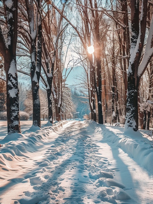 冬天雪景，史诗般的景色，透视超现实，超广角，摄影明亮柔和，意境优美，精细，超精细细节，超高清画质，超精致