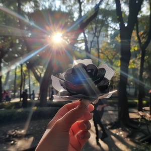 In the park, sunlight shines through trees and illuminates an open hand holding a black rose wrapped in white paper with light rays shining on it. The photo was taken from first person perspective using mobile phone camera and posted to weChat, creating a beautiful scene. It features a wide-angle lens, bright colors, natural lighting, clear details of flowers, tree shadows, pedestrians walking around, and sunlight casting on people's faces.,in