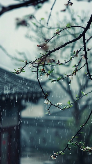 绵绵细雨、清晨的雾气、雨滴跳跃、湿漉漉的大地、雨丝飘扬、闪电与雷鸣、阴霾的天空、雨帘垂挂、雨水滋润着万物、雨后清新的空气、湿润花朵的芳香、雨水滴在窗户上、雨中行走的行人、倾盆大雨、雨水敲在屋顶上、流淌的小溪、雨水洒在树叶上、童年时光的雨天玩耍、雨伞在街上穿梭、远处的彩虹、雨中静谧的美景、雨水落在河面上、雨声敲打窗户，窗户间有一尊菩萨陶瓷像