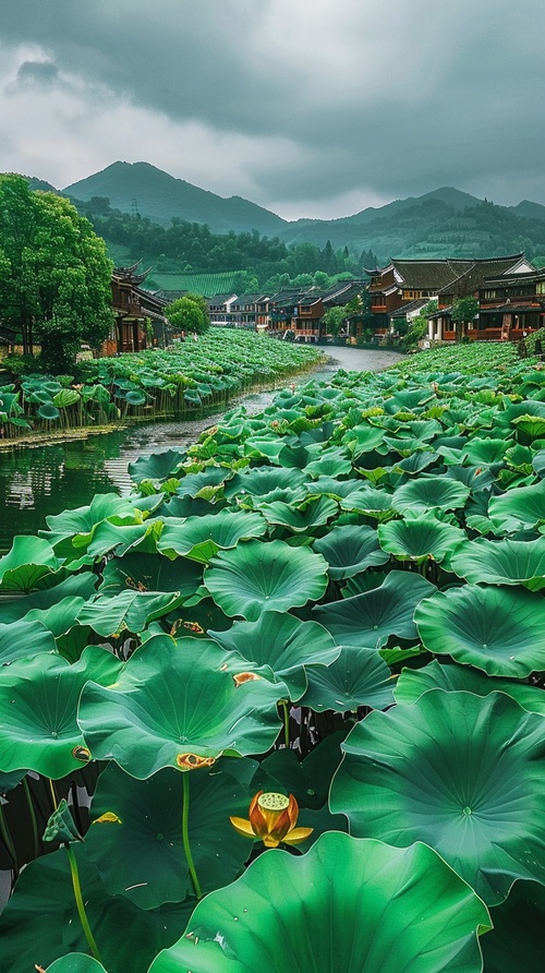 镜头缓缓拉开，展现出江南水乡的全景。河面上布满了翠绿的莲叶，莲花点缀其间，微风吹过，莲叶轻轻摇曳。远处的青山和近处的水乡建筑相映成趣，水面波光粼粼。