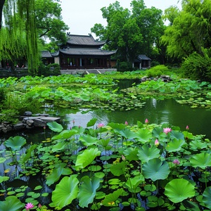 大唐芙蓉园水系的生机与灵动