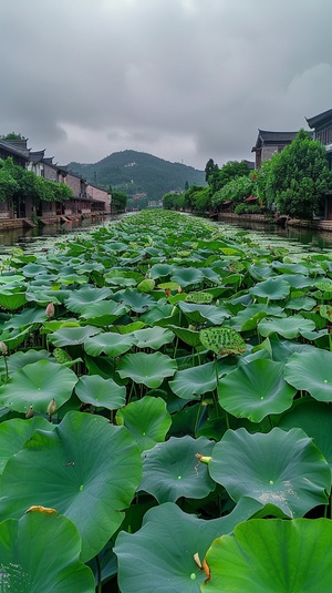 镜头缓缓拉开，展现出江南水乡的全景。河面上布满了翠绿的莲叶，莲花点缀其间，微风吹过，莲叶轻轻摇曳。远处的青山和近处的水乡建筑相映成趣，水面波光粼粼。