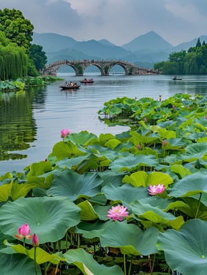 杭州西湖风景秀丽，湖面清澈，湖心有石拱桥，有船，荷叶粉色荷花，雨后的治愈系天空，百花齐放，万花丛中，全景真实自然，超细，超分辨率，超高清晰度图像质量8k