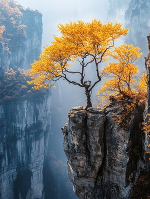 烟雾中悬崖上的黄叶老树与山水画风景