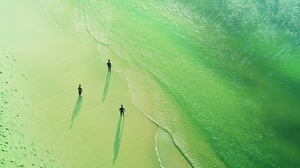 a light matcha green beach, surrealistic style, minimalism, artistic photography, aerial view, ultra-high detail, clean background, 3d Xiamen people,