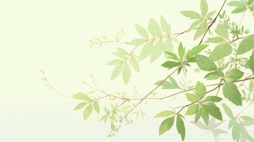 背景干净简洁，浅绿色背景配一个树枝绿叶，高品质，超细节，高分辨率