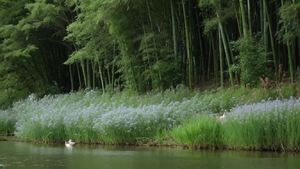 竹林外生长着几枝桃花，春天的河里有几只鸭子，河边长满了蒌蒿，芦芽还很短。