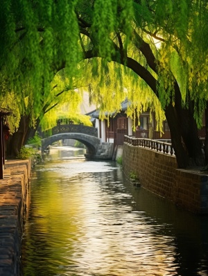 中国古镇柳树溪流高清拍摄