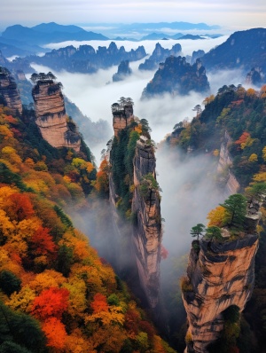 最真实的画面，深秋的张家界：群峰如林，峭壁直立，沟壑幽深，溪流环绕