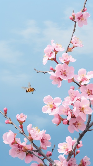 蔚蓝的天空,溪水边,一朵桃花,桃花花瓣上小蜜蜂,极高画质