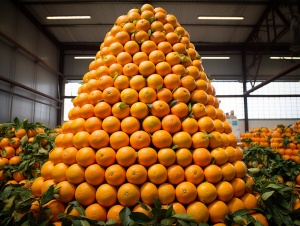 四川橙色：连贯的活力与传统中国桔子