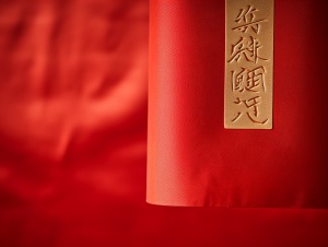 中国文字红色横幅的特写，布面横幅，红色横幅，挂绢卷轴，横幅，挂绢帆布，中元节，中国传统，中国风格，红金布，南拳，挂在墙上的卷轴，红丝长布，千 叶 雄 大