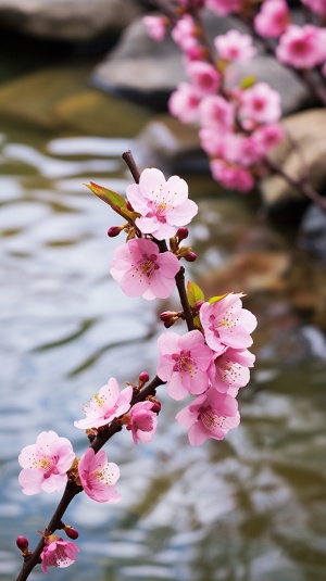 碧绿溪水边的娇艳桃花，与清澈溪水、山峦苍翠共构仙境般的画卷