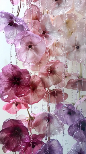 垂丝紫罗兰：大师作品的海棠花